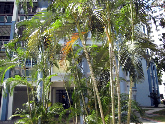 Blk 114 Rivervale Walk (Sengkang), HDB 4 Rooms #298522